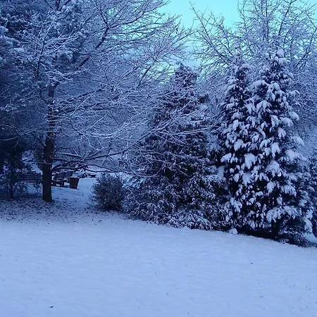 Muelhaupt Nyaraló *