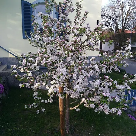Mülhaupt * Ühlingen-Birkendorf